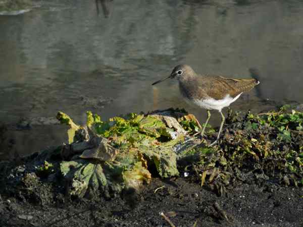 孤独的美丽（组图，17张图片）