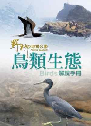 台湾鸟类解说手册