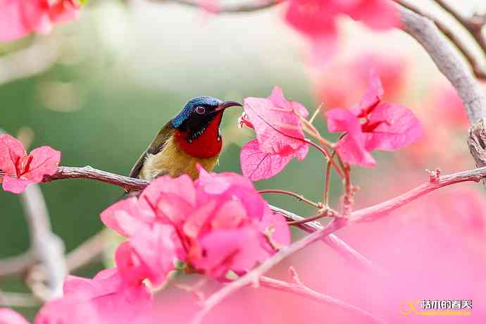 我的鈥溙翕濃斺斚妹排拟湶嫖蔡裟疋