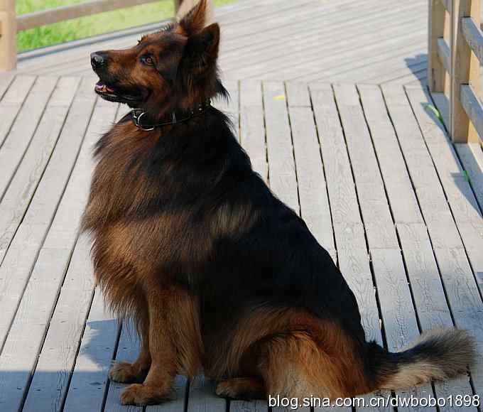 鸟友同游怀沙河 鸟友同游怀沙河