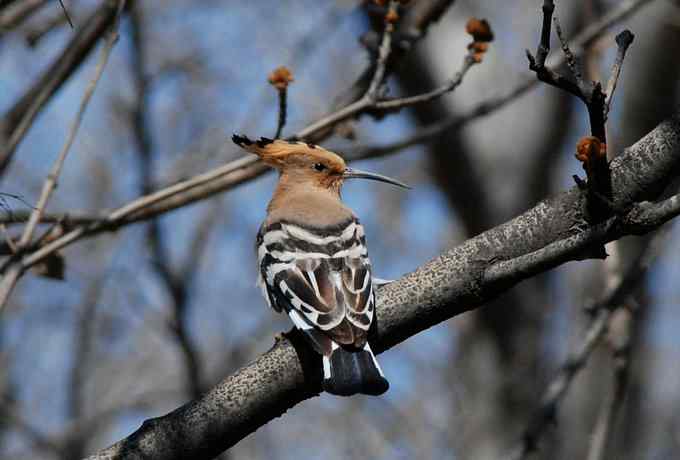 让偶一次拍个够