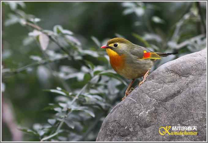 神马都是浮云，健康、快乐才最给力鈥斺斘业2010