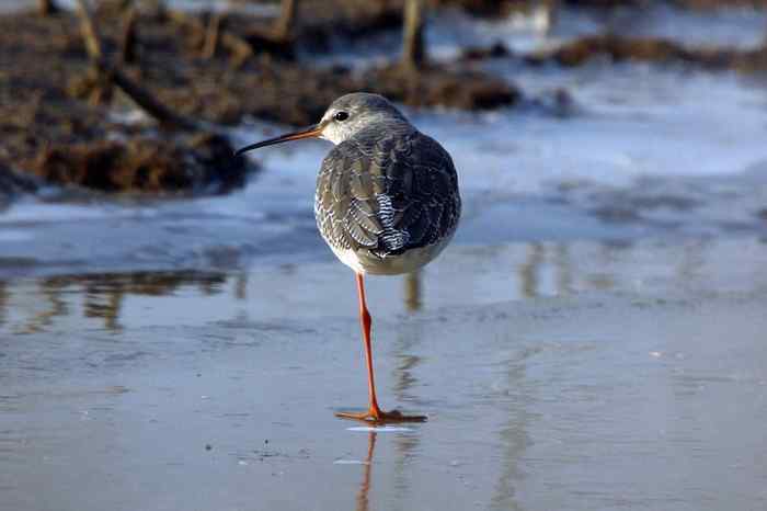 杭州老郑摄影续 杭州老郑摄影续