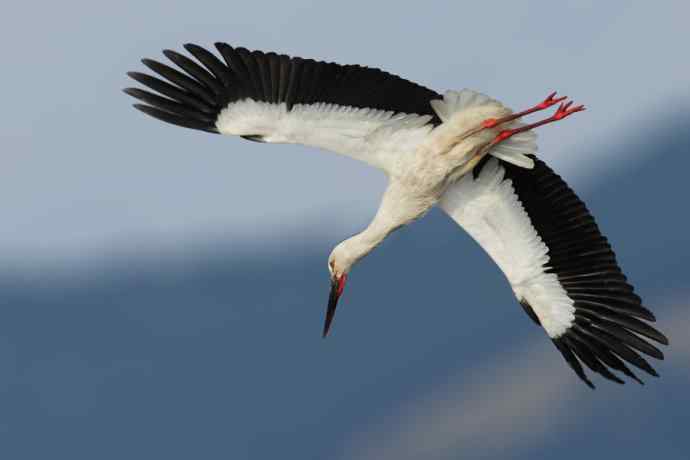 盘点我的2012年（外一篇）