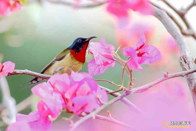 我的鈥溙翕濃斺斚妹排拟湶嫖蔡裟疋