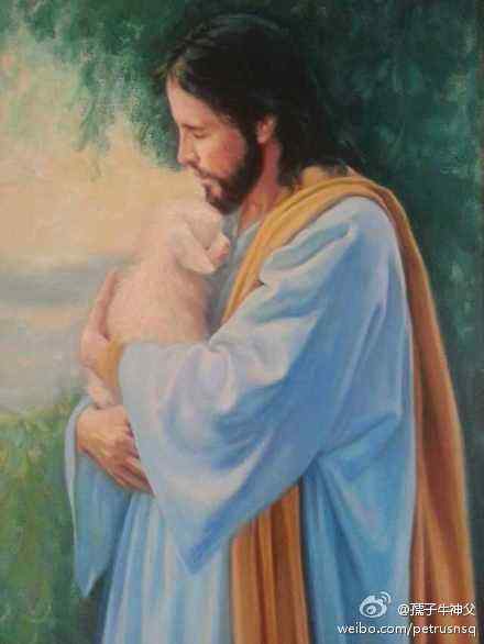 关于动物权利的立法探讨