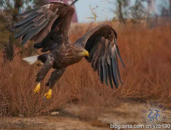 难忘断背山（组图，一个视频，20张图片）