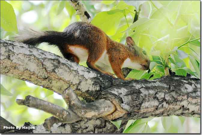  点击图片或使用键盘← →翻页