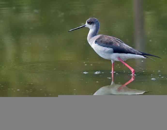 亭亭玉立的花季少女鈥斺斆劳瑞郑ㄗ橥迹10张图片) 亭亭玉立的花季少女鈥斺斆劳瑞郑ㄗ橥迹10张图片)