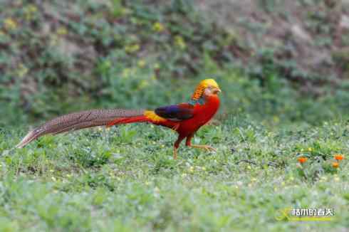 发一组鈥満旄菇跫︹ 发一组鈥満旄菇跫︹