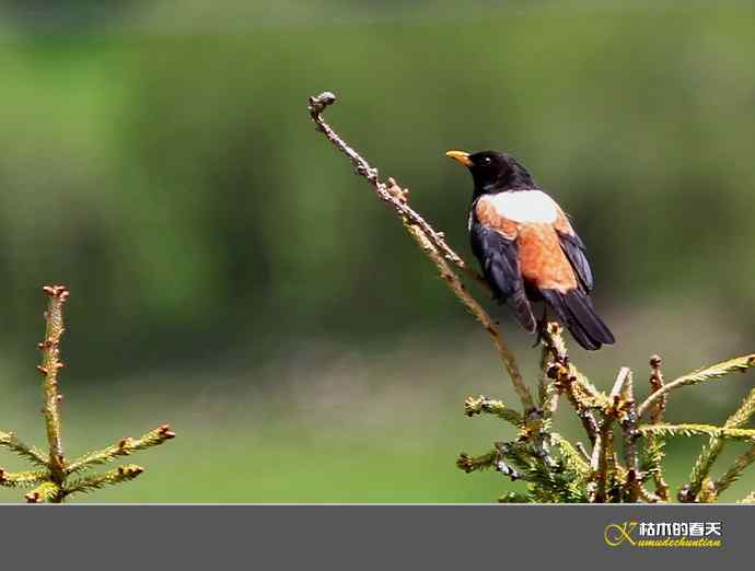 记录鈥溩乇澈谕佛粹