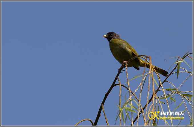 阳光明媚好心情【照片】 阳光明媚好心情【照片】