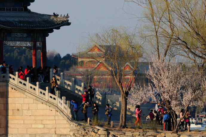 清明假日惬意的午后时光