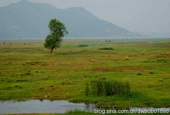 鸟友同游怀沙河 鸟友同游怀沙河