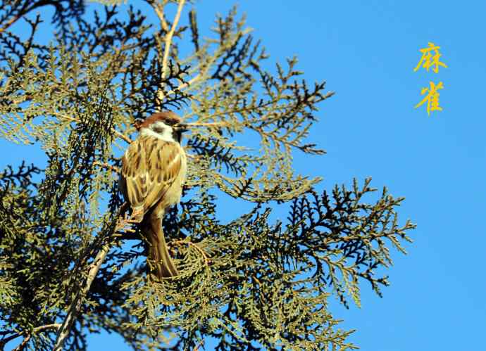 随走随拍（杂片）