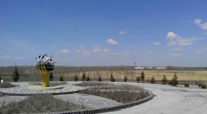 【新鸟】暮春观白鹤☆