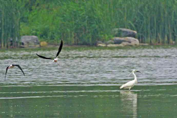 和谐 wbr wbr记录版 wbr wbr（2）