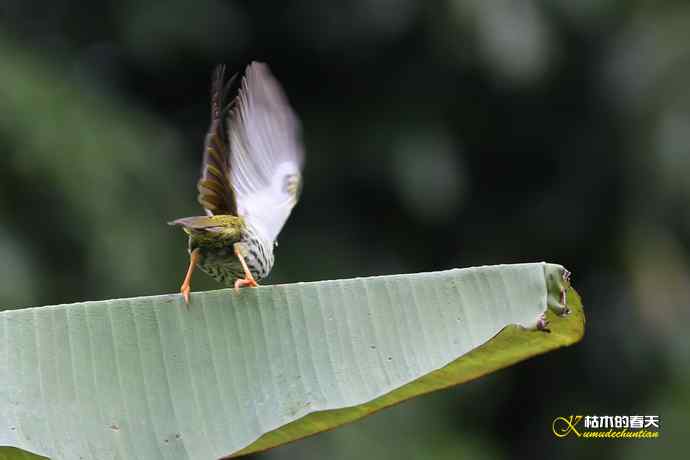 记录鈥溛票巢吨肽疋