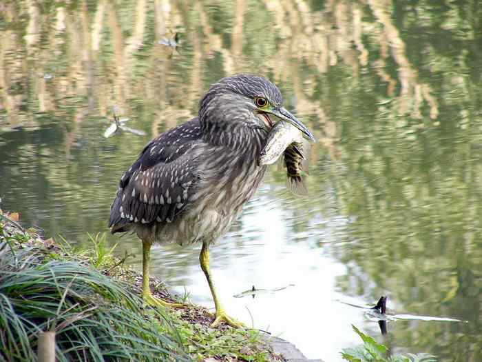 杭州老郑摄影续 杭州老郑摄影续