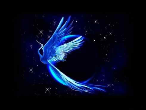 凤凰:传说的鸟 凤凰:传说的鸟