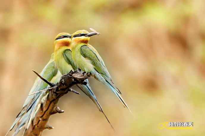 失而复得的鈥溊鹾矸浠⑩ 失而复得的鈥溊鹾矸浠⑩