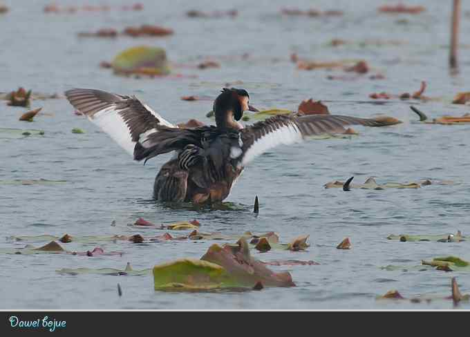 献给含辛茹苦的父母们
