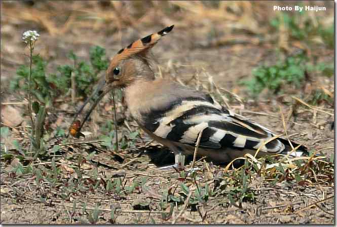  点击图片或使用键盘← →翻页