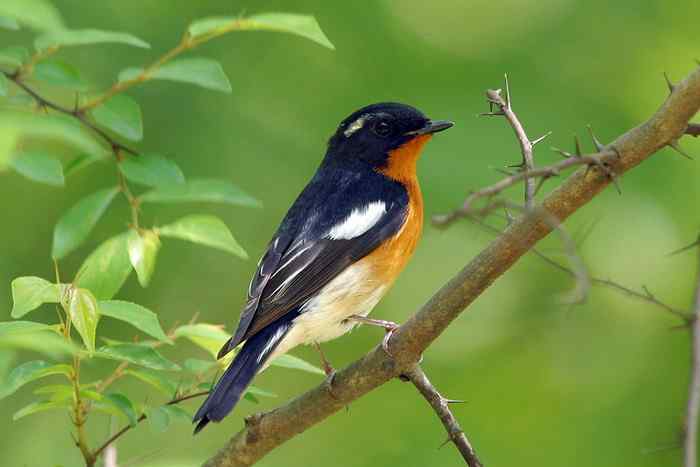 杭州老郑摄影续 杭州老郑摄影续