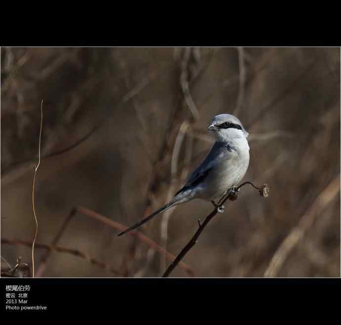【人间四月天】
