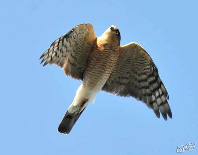 北京西山&nbsp;wbr路2010-10-12望京楼