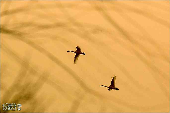  点击图片或使用键盘← →翻页