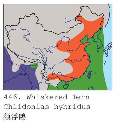 这世界，我来了！任凭风暴漩涡鈥︹Γㄗ橥迹25张图片）