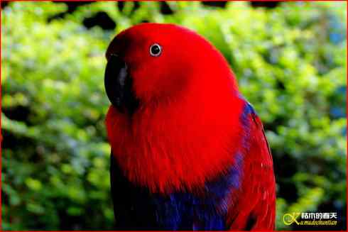 鈥湸蚰疋澬律睢菊掌