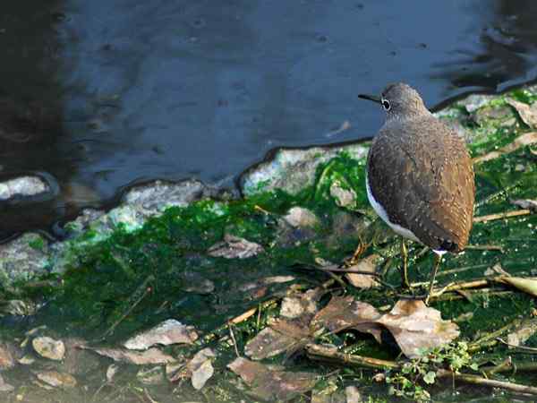 孤独的美丽（组图，17张图片）