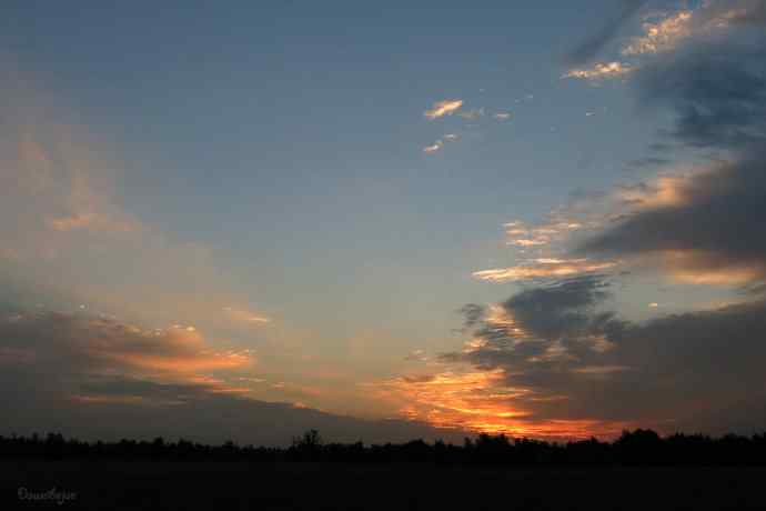 野鸭湖的秋天.翻石鹬
