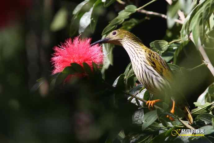 记录鈥溛票巢吨肽疋