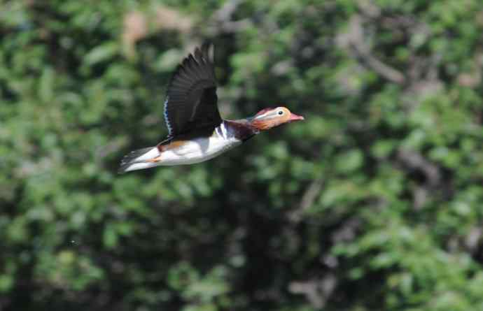 八月十六（杂片）