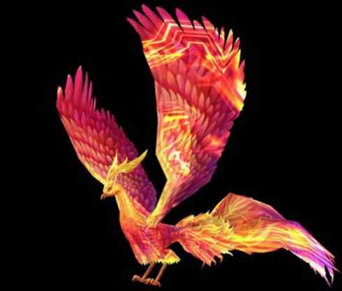 凤凰:传说的鸟 凤凰:传说的鸟