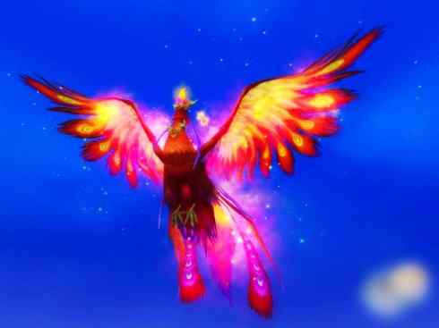 凤凰：传说的鸟