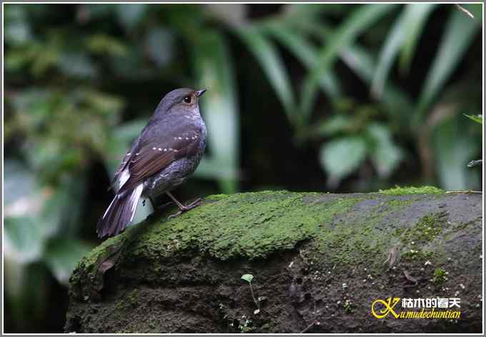 距离产生美【照片】 距离产生美【照片】