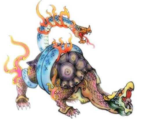 玄武：传说的兽原型探秘