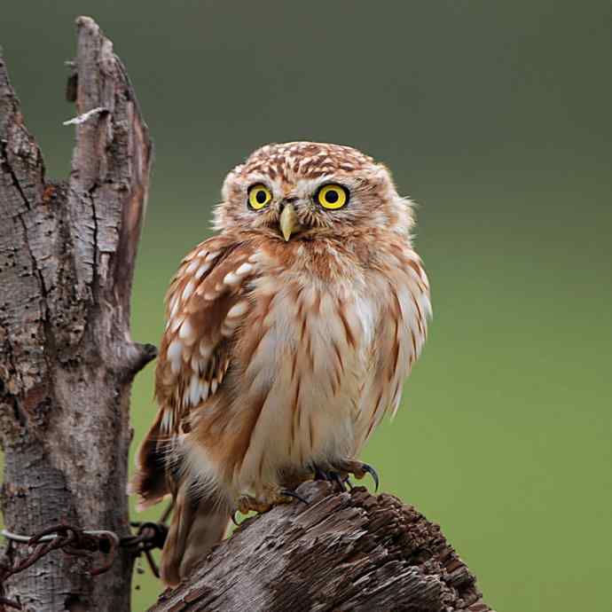 不期而遇鈥斺斪菸聘剐←^