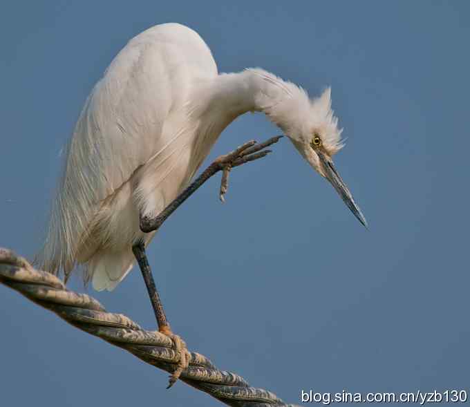 白衣天使高空独立作业（组图，6张图片）