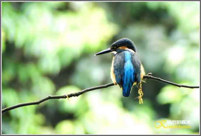 “小翠”归来【照片】