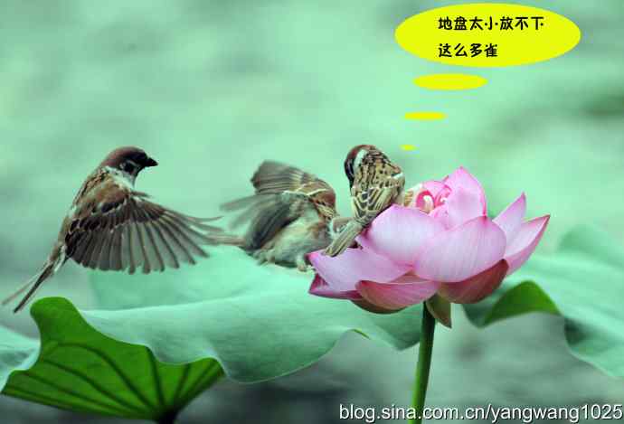 亲兄弟也要有分工（虚构）