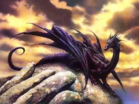 龙：传说的兽原型探秘