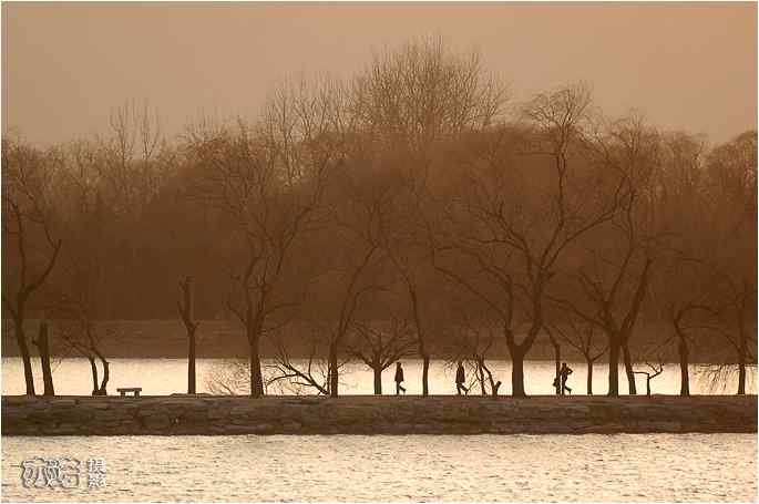  点击图片或使用键盘← →翻页