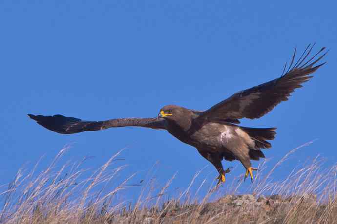 达里诺尔圆梦 wbr wbr克什克腾摄雕