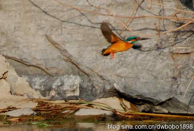 小翠儿过节踩蛋忙