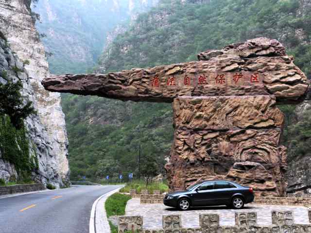 蒲洼围剿蓝矶鸫